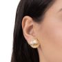 Brinco Concha Lisa Banhado em Ouro